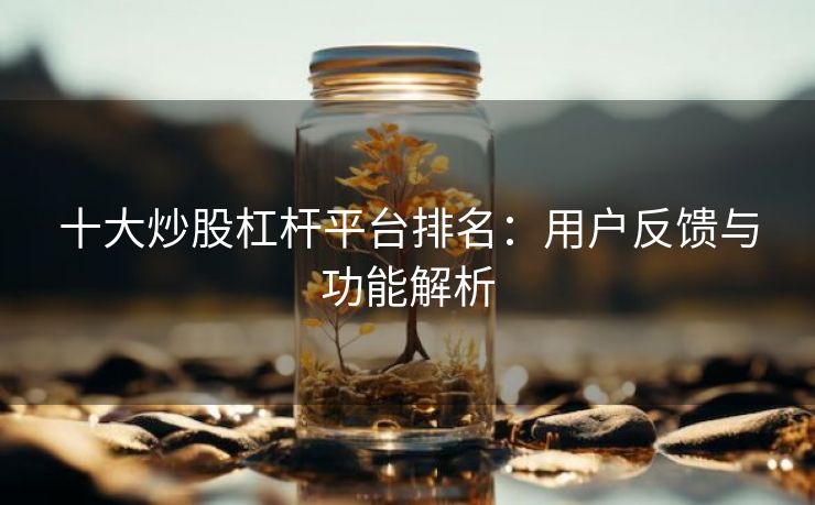 十大炒股杠杆平台排名：用户反馈与功能解析