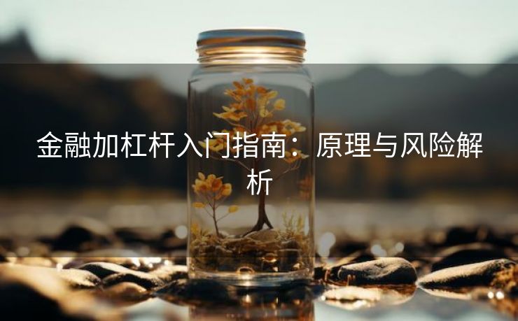 金融加杠杆入门指南：原理与风险解析