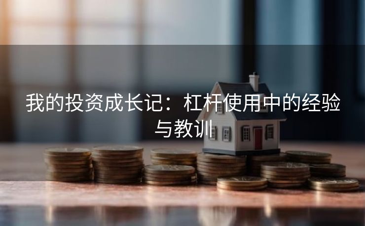 我的投资成长记：杠杆使用中的经验与教训