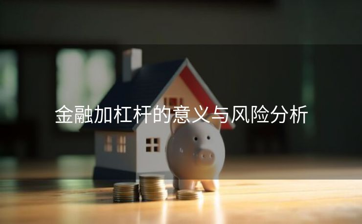 金融加杠杆的意义与风险分析