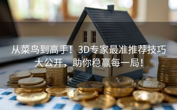 从菜鸟到高手!3D专家最准推荐技巧大公开,助你稳赢每一局! 从菜鸟到高手!3D专家最准推荐技巧大公开,助你稳赢每一局!