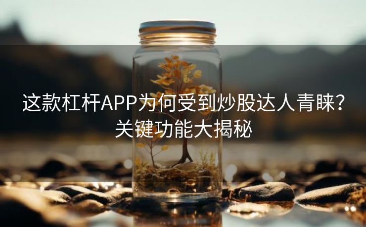 这款杠杆APP为何受到炒股达人青睐？关键功能大揭秘